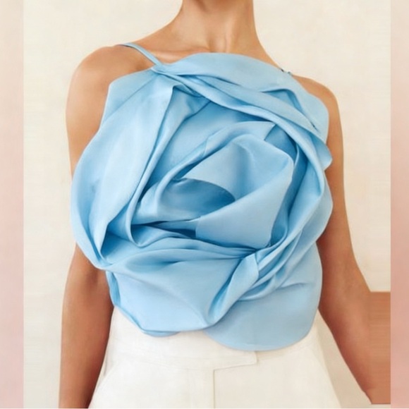 cult gaia Tops - Cult Gaia Rosa Top Blue